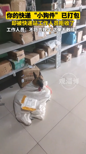 你的快递&ldquo;小狗件&rdquo;已打包，却被快递站工作人员拒收了