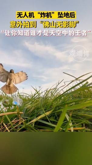 无人机&ldquo;炸机&rdquo;坠地后，意外拍到&ldquo;佛山无影脚&rdquo;