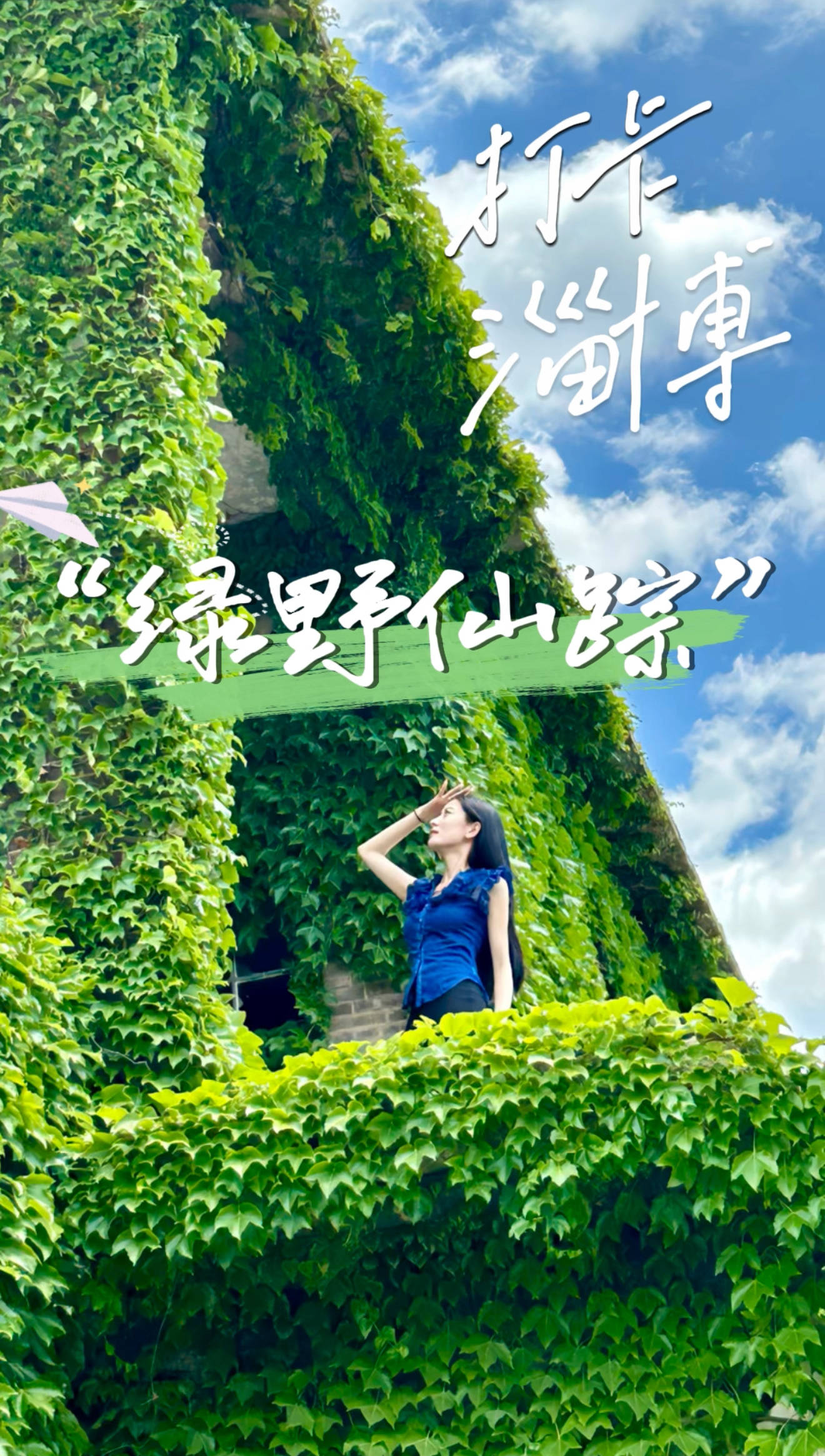 在淄博，藏着一片会“爬墙”的夏天！