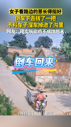 女子看路边的葱长得挺好，倒车下去拔了一把，不料车子溜车掉进了沟里