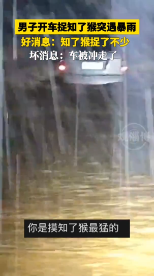 男子开车捉知了猴突遇暴雨，好消息:知了猴捉了不少，坏消息:车被冲走了