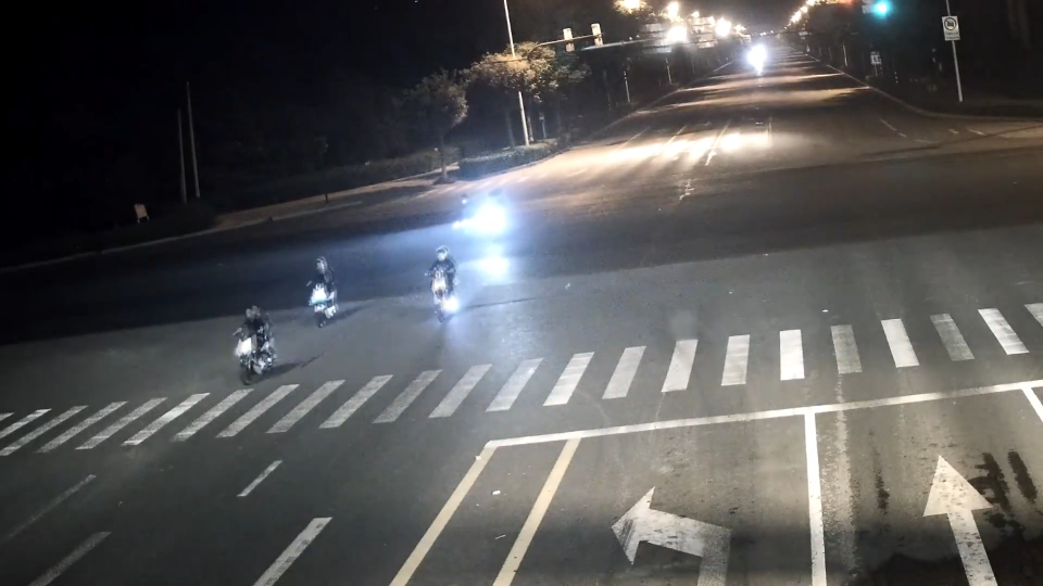 团伙分散作案  警方一一收网