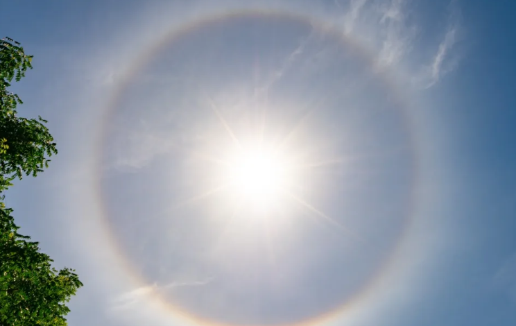 淄博发布高温橙色预警！最高温达38℃……