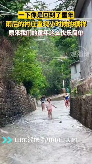 一下像是回到了童年，雨后的村庄重现小时候的模样