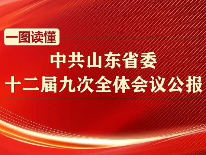一图读懂中共山东省委十二届九次全体会议公报