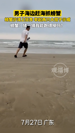 男子海边赶海抓螃蟹，螃蟹举着大钳子示威满地跑