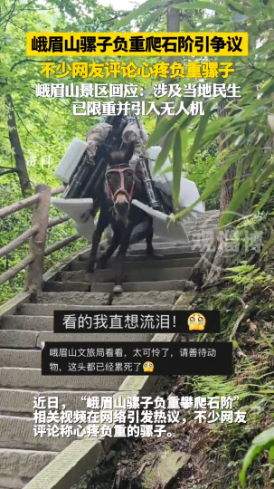 峨眉山骡子负重爬石阶引争议，不少网友评论心疼负重骡子