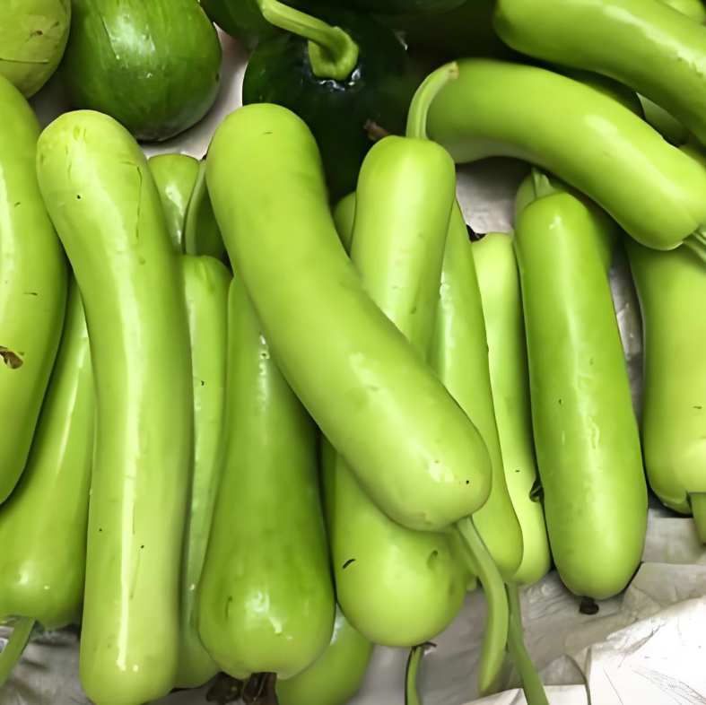 发现马上扔！一家四口吃了被放倒！