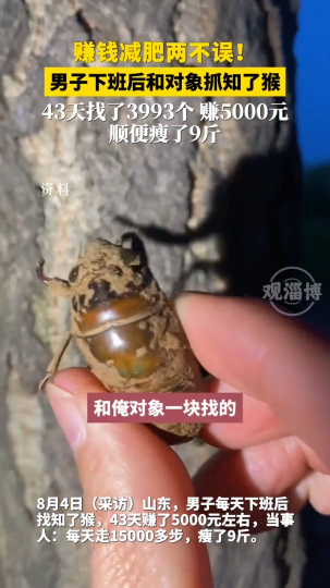 男子下班后和对象抓知了猴，赚了5000元顺便瘦了9斤