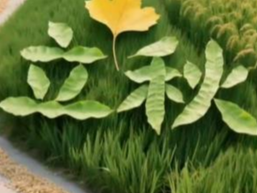 今日立秋｜全年养肺黄金期！