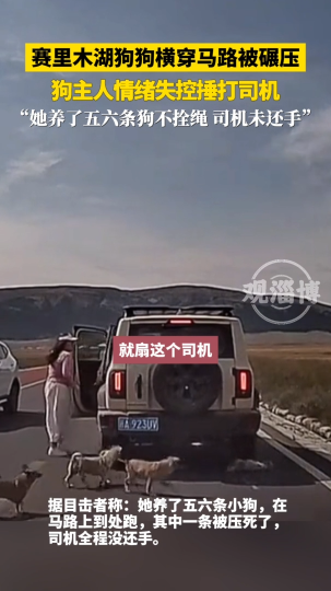 狗狗横穿马路被碾压，狗主人情绪失控捶打司机