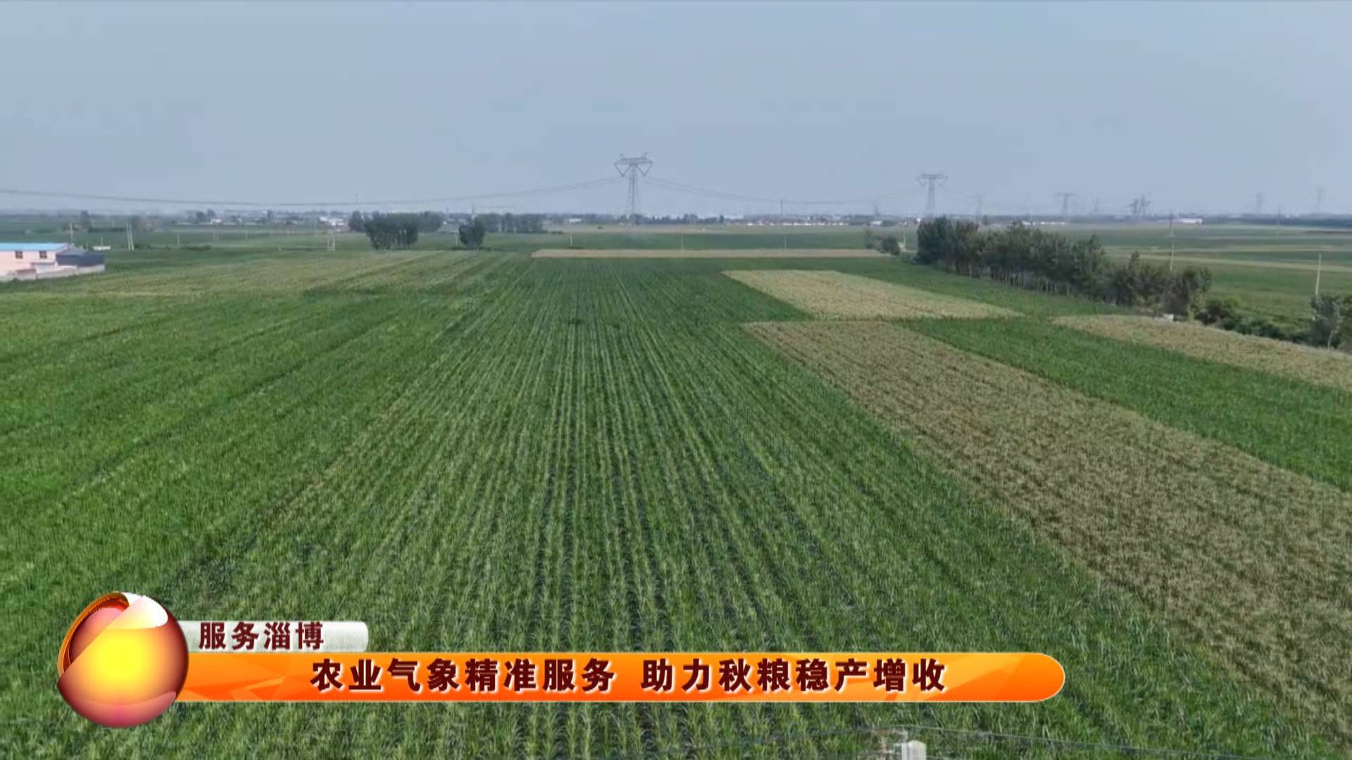 【乡村里的淄博】农业气象精准服务 助力秋粮稳产增收