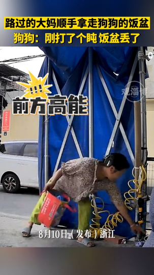 路过的大妈顺手拿走狗狗的饭盆，狗狗:刚打了个盹饭盆丢了