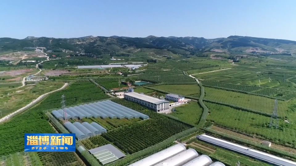 【淄博新闻】【打造乡村振兴齐鲁样板】淄博：&ldquo;联&rdquo;出振兴合力 &ldquo;串&rdquo;起富民新路