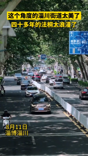 这个角度的淄川街道太美了，四十多年的法桐太浪漫了