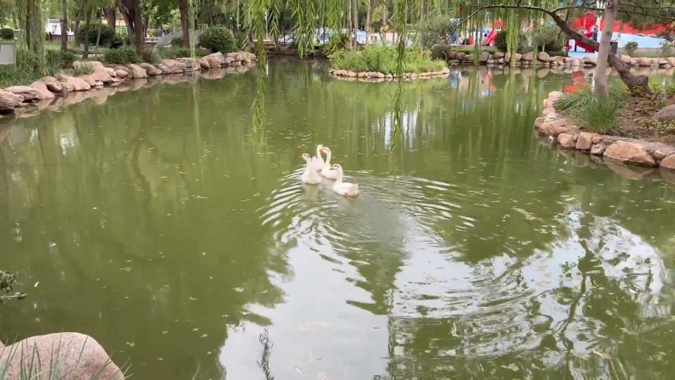 再见三伏天  警惕&ldquo;秋老虎&rdquo;