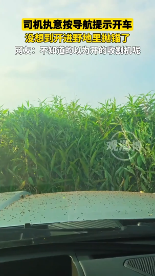 司机执意按导航提示开车，没想到开进野地里抛锚了