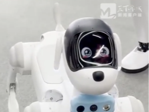 产业链上的山东好品牌&mdash;&mdash;灵犀智能狗，会报天气能聊天，家庭陪伴小能手。