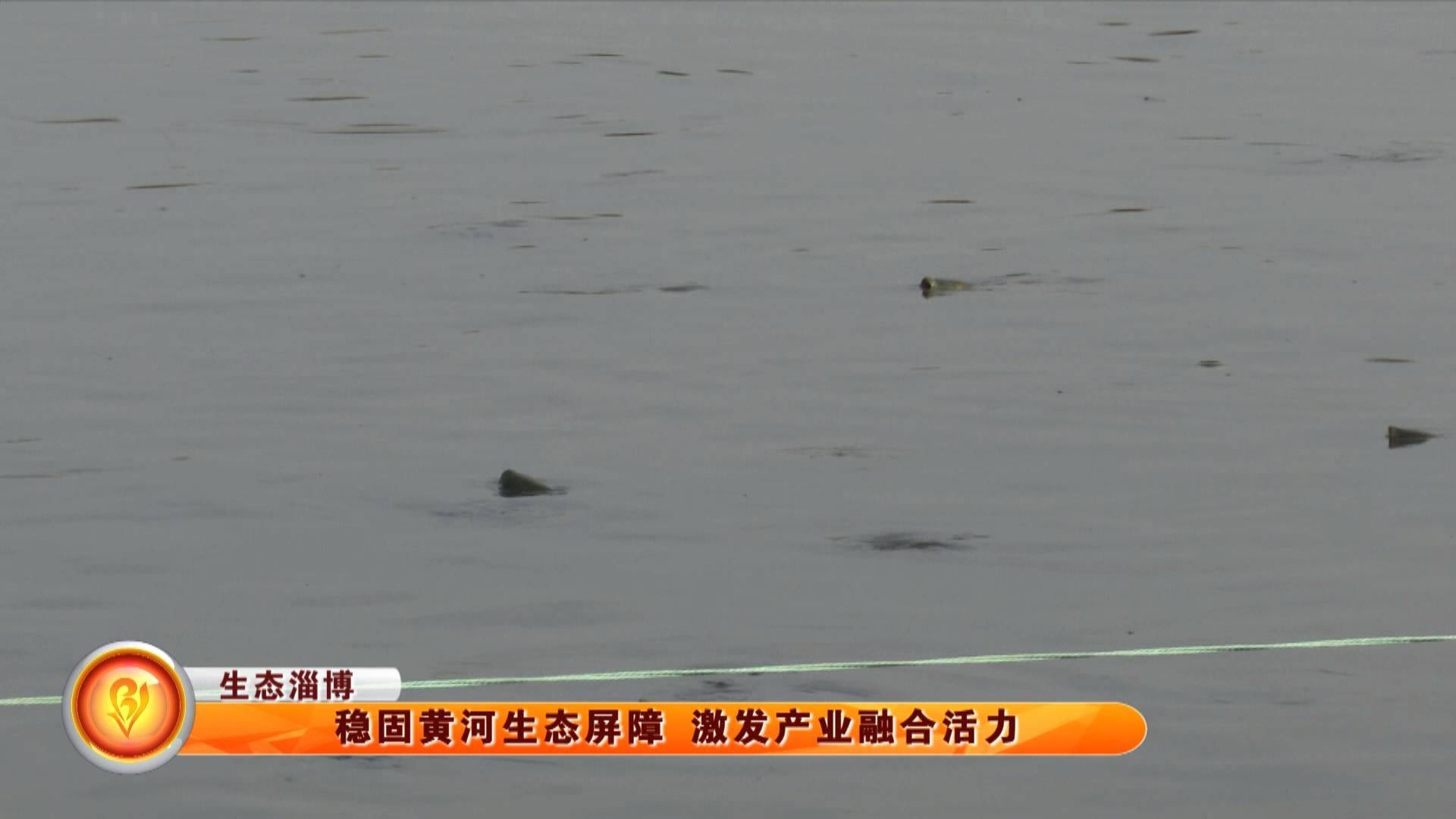 【生态淄博】稳固黄河生态屏障 激发产业融合活力