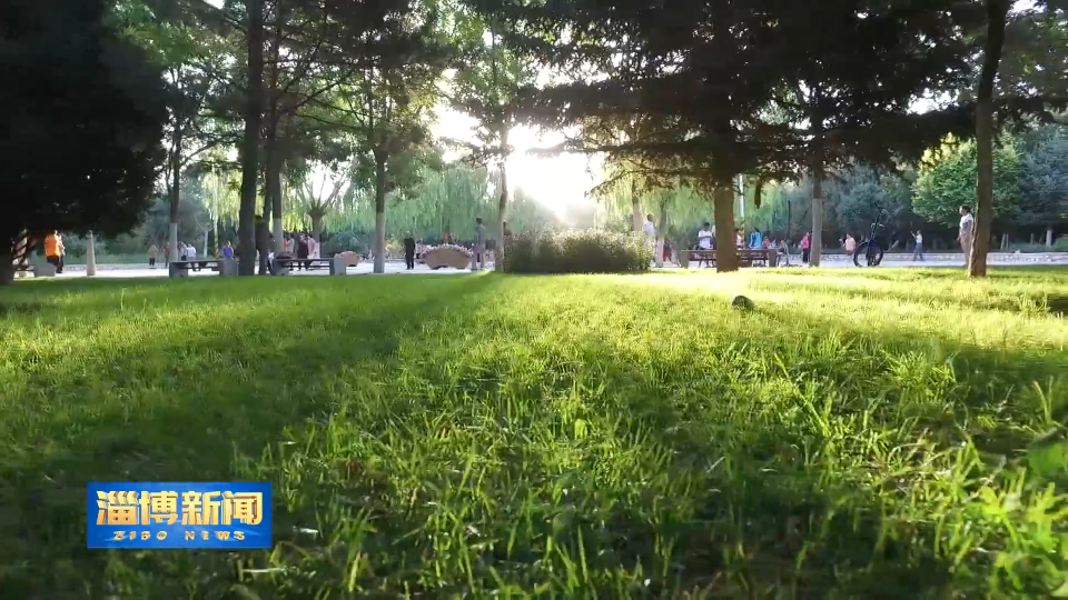 【淄博新闻】【新闻链接】载文明而驰 驭新风前行