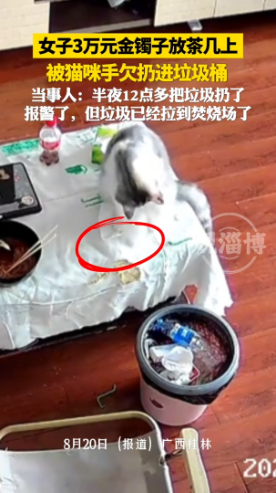 女子3万元金手镯放茶几上，被猫咪手欠扔进垃圾桶