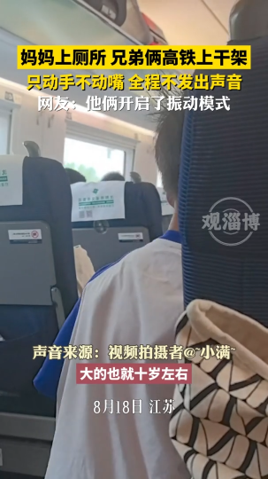 妈妈上厕所，兄弟俩高铁上干架，只动手不动嘴！全程不发出声音