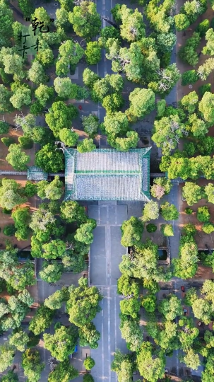 &ldquo;乾&rdquo;来打卡 | 弘道门下的铿锵回响