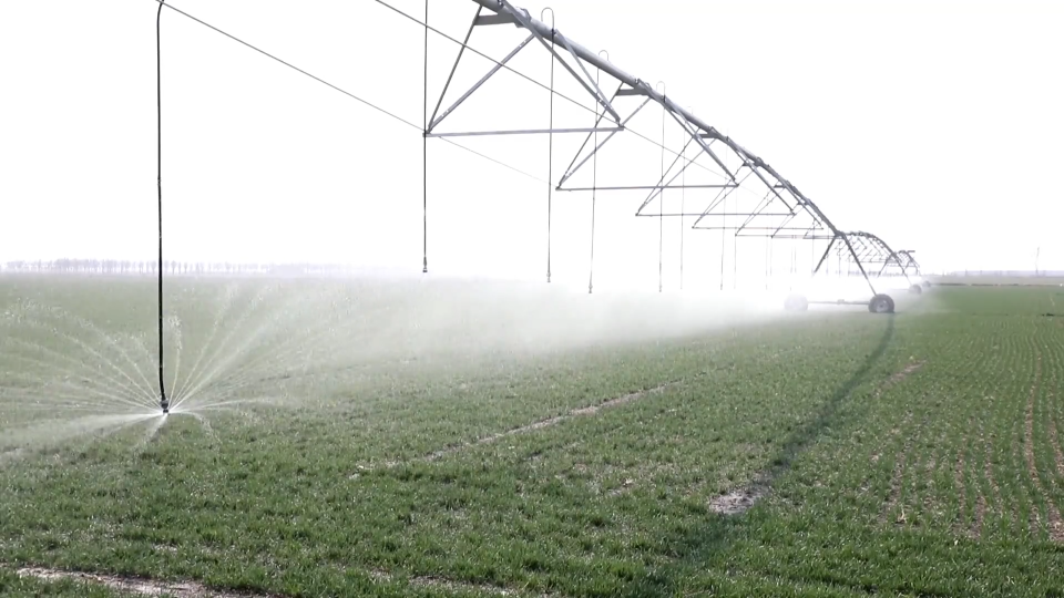 科技&ldquo;种田&rdquo;更轻松 &ldquo;精准滴灌&rdquo;助力增产增效