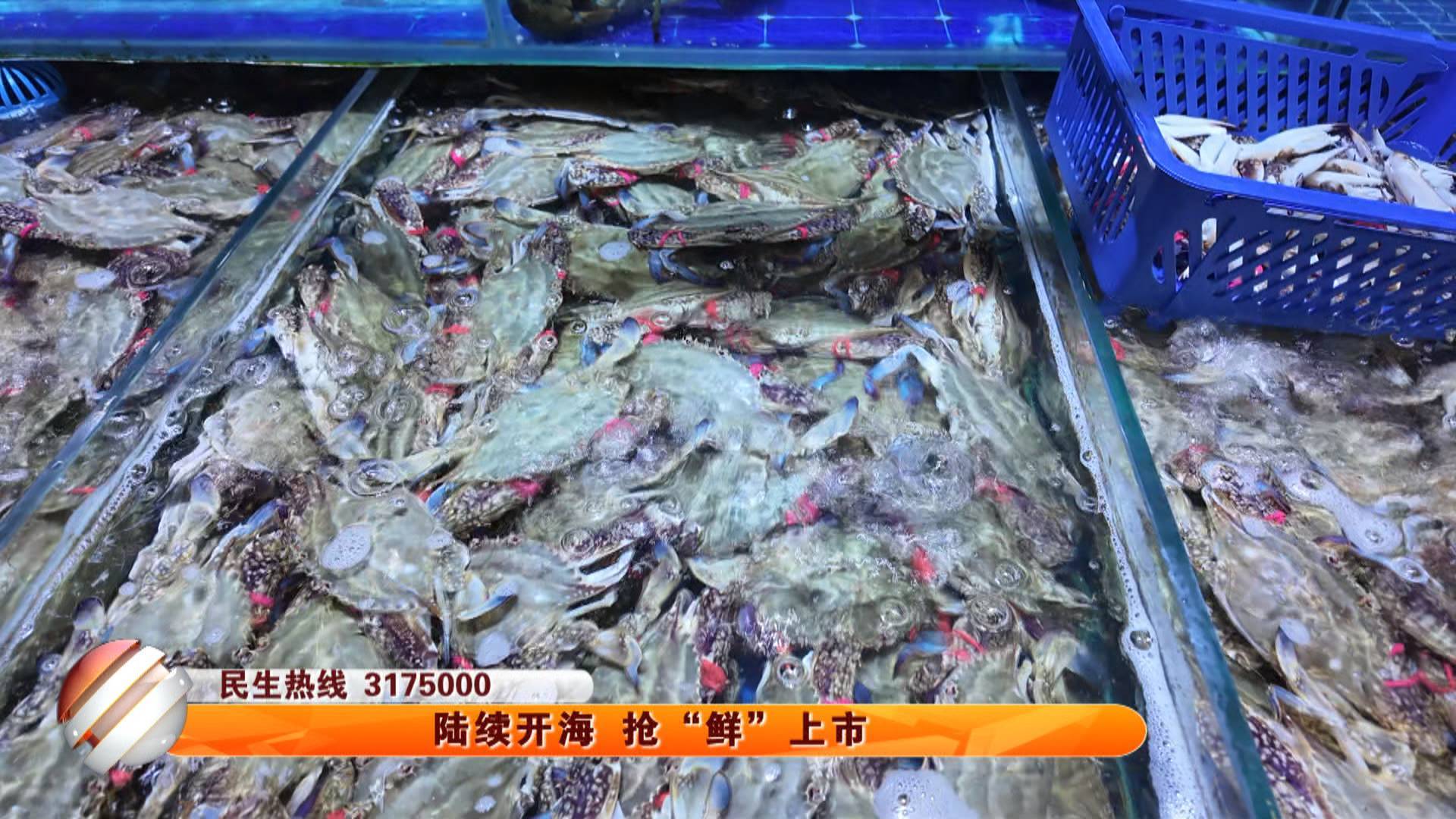 陆续开海 抢&ldquo;鲜&rdquo;先上市