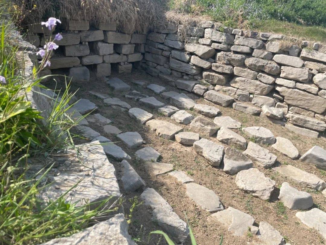 免票、半价！淄博四大景区优惠！