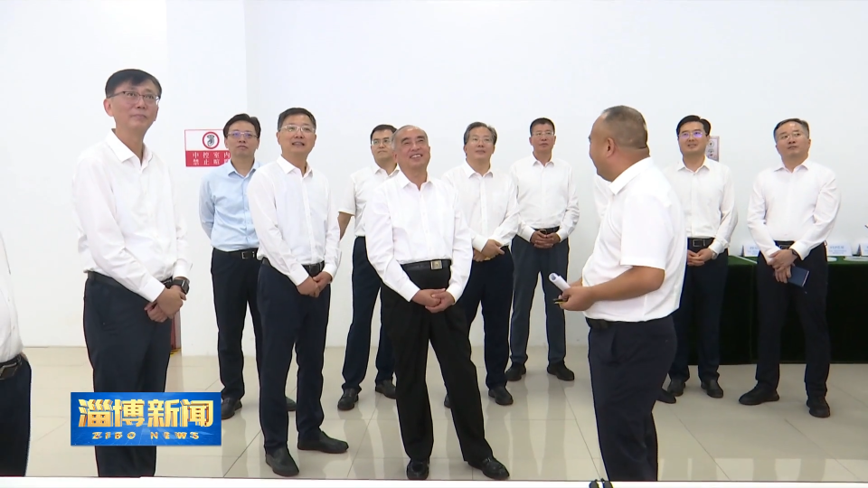 【淄博新闻】林武在我市调研强县产业帮扶弱县工作时强调 促进产业互补协作共赢 推动县域经济高质量发展