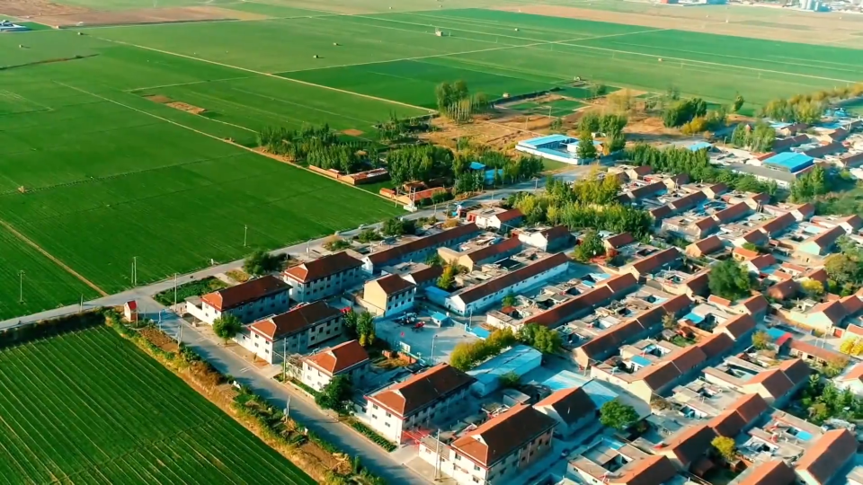 办好民生实事  绘就乡村幸福画卷