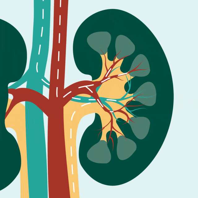肾不好的几个表现，喝完水后尤其明显