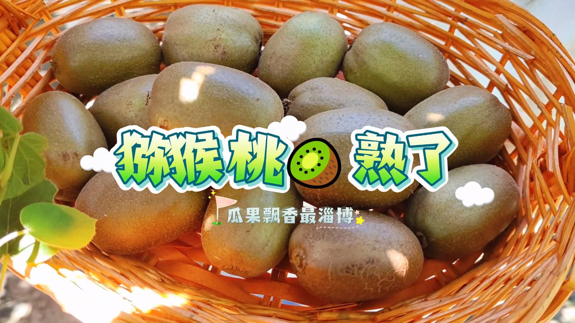 《最淄博》&mdash;&mdash;瓜果飘香最淄博  一口&ldquo;猕&rdquo;恋让人&ldquo;桃&rdquo;醉