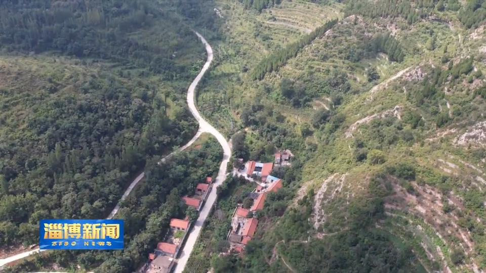 【淄博新闻】【打造乡村振兴齐鲁样板】淄博：特色产业结硕果 乡村振兴绘新卷