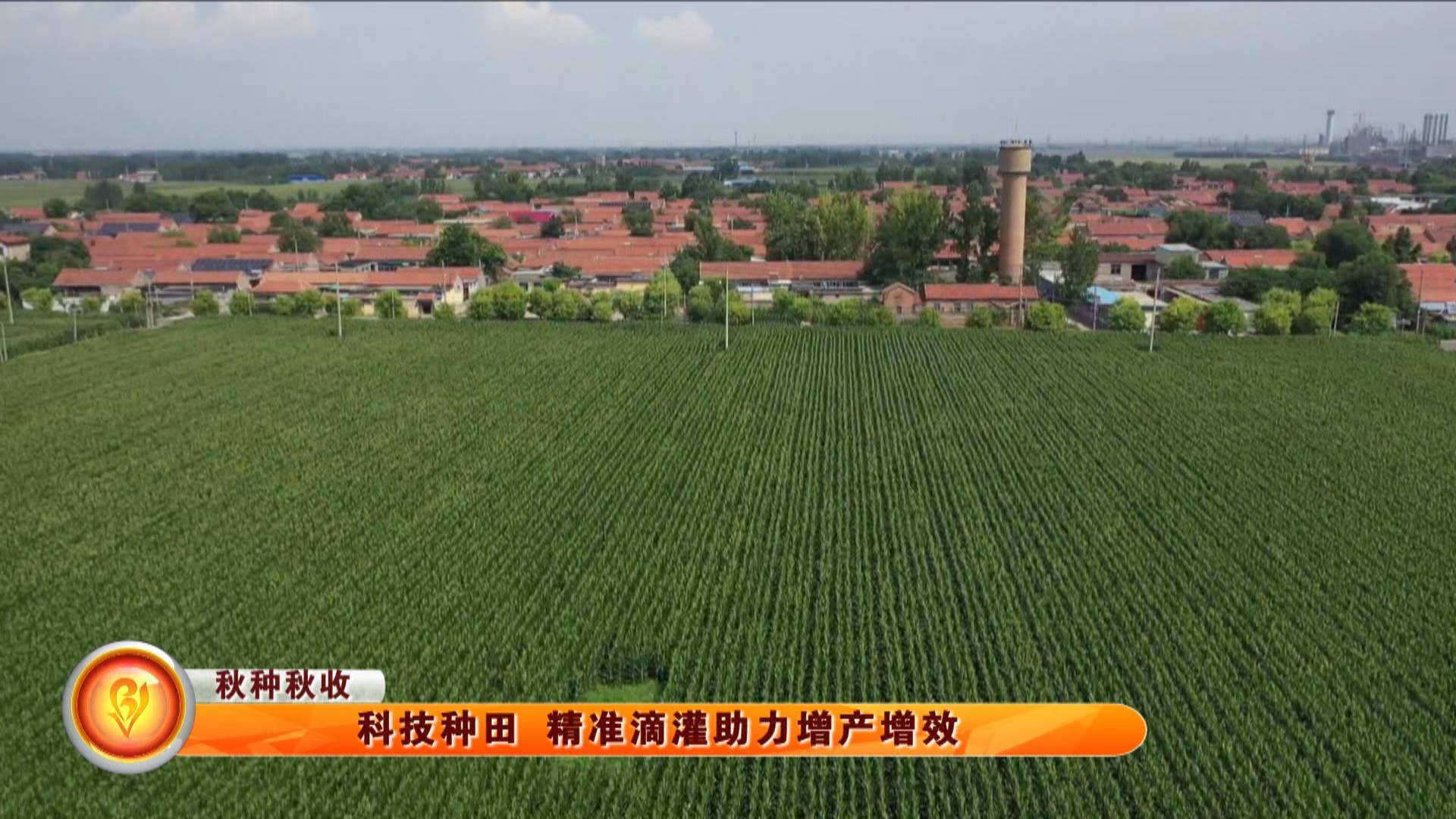 【秋种秋收】科技种田 精准滴灌助力增产增效