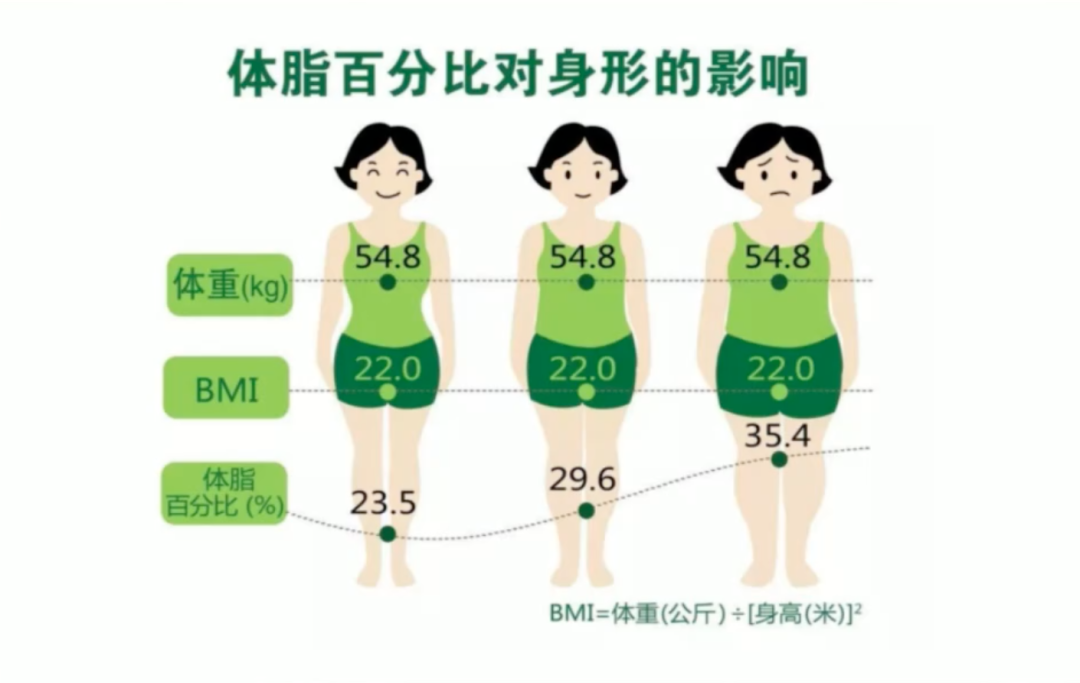 这种身材可能比肥胖更糟糕！小心脂肪肝&ldquo;找上门&rdquo;