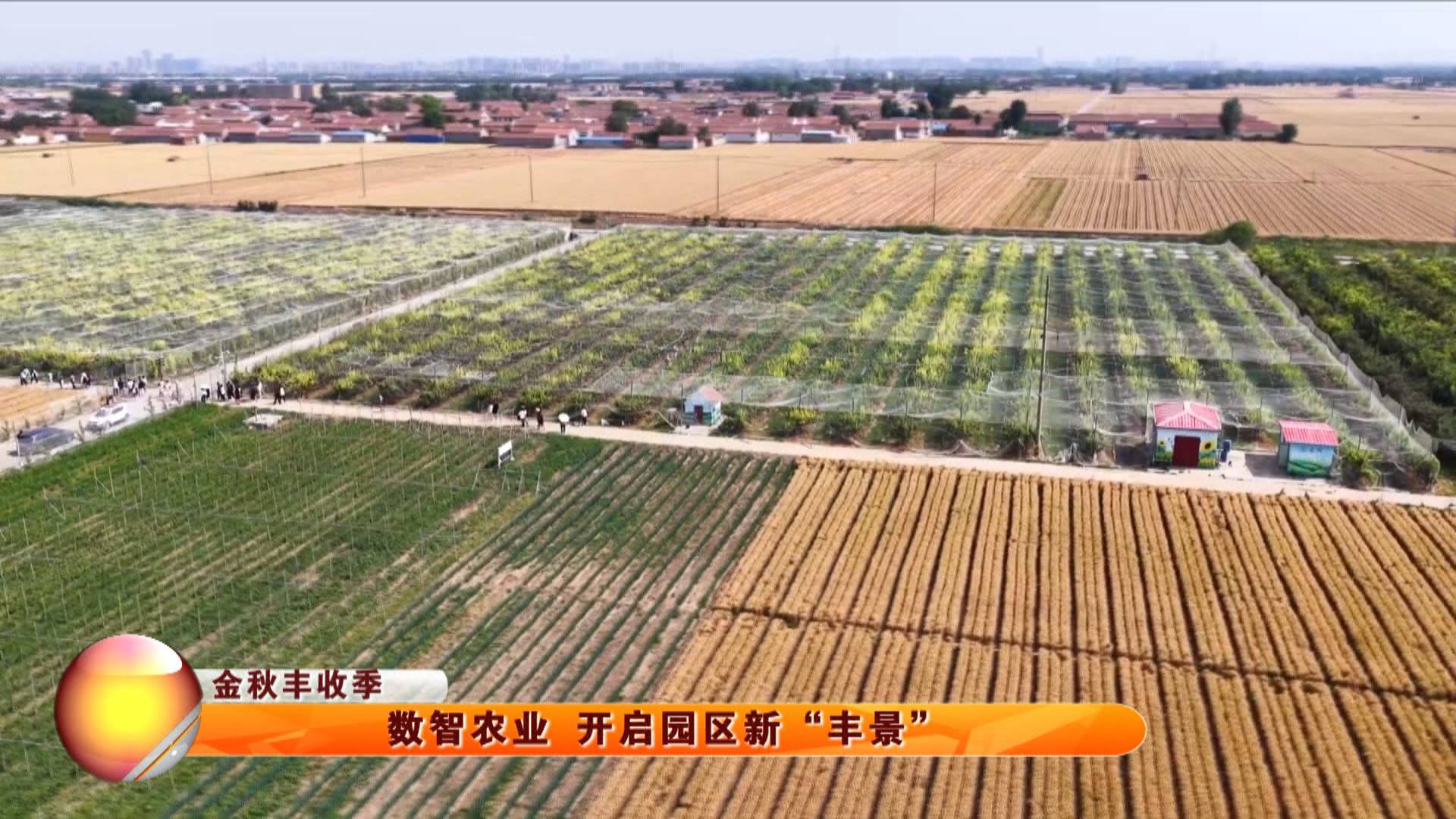 【金秋丰收季】数智农业 开启园区新&ldquo;丰景&rdquo;