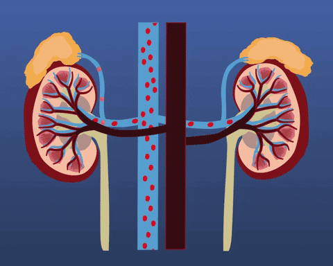 熬夜真的很伤肾！这3个表现是危险信号