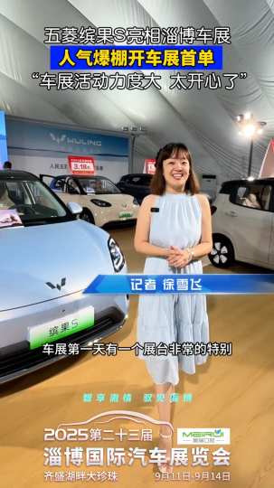 五菱缤果S亮相淄博车展 人气爆棚开车展首单