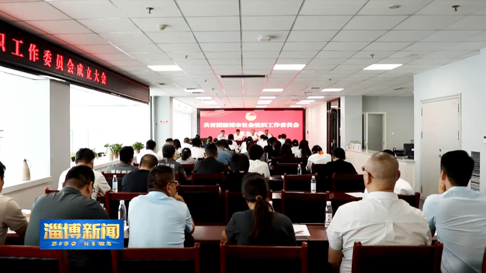 【淄博新闻】共青团淄博市社会组织工作委员会正式成立