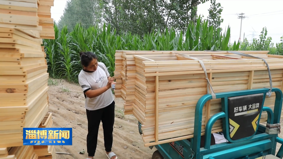 【淄博新闻】【打造乡村振兴齐鲁样板】淄博：探索多元路径 激活乡村活力