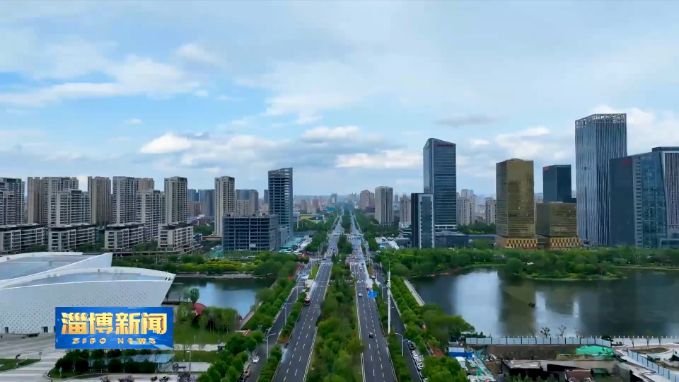 【淄博新闻】我市3个产业集群入选省第二批支柱型雁阵集群