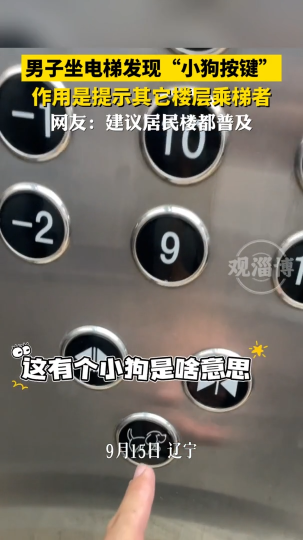 男子坐电梯发现&ldquo;小狗按键&rdquo;，作用是提示其它楼层乘梯者
