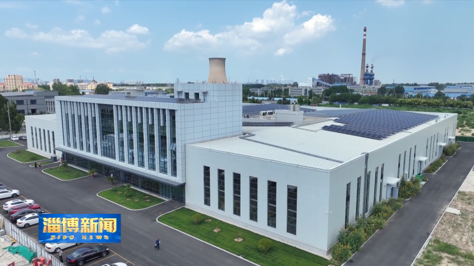 【淄博新闻】【走在前 挑大梁&middot;产业链上的山东好品牌】小菌种&ldquo;撬动&rdquo;大市场