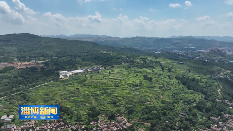 【淄博新闻】【新闻特写】打出乡村振兴&ldquo;新掌法&rdquo;