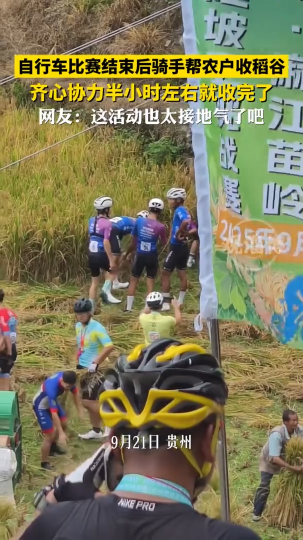 自行车比赛结束后，骑手帮农户收稻谷，齐心协力半小时左右就收完了