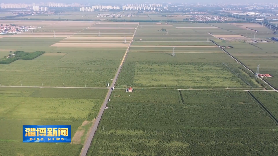 【淄博新闻】【一年好&ldquo;丰&rdquo;景&middot;&ldquo;三秋&rdquo;一线】良技良法赋能  助力&ldquo;三秋&rdquo;农业生产