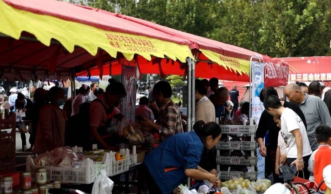 陶风淄韵&middot;乡村好景 | 桓台县：&ldquo;黄河大集&rdquo;架起惠民桥