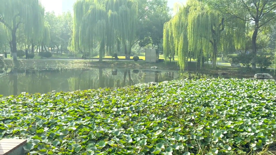 国庆中秋天气  总体有利出行